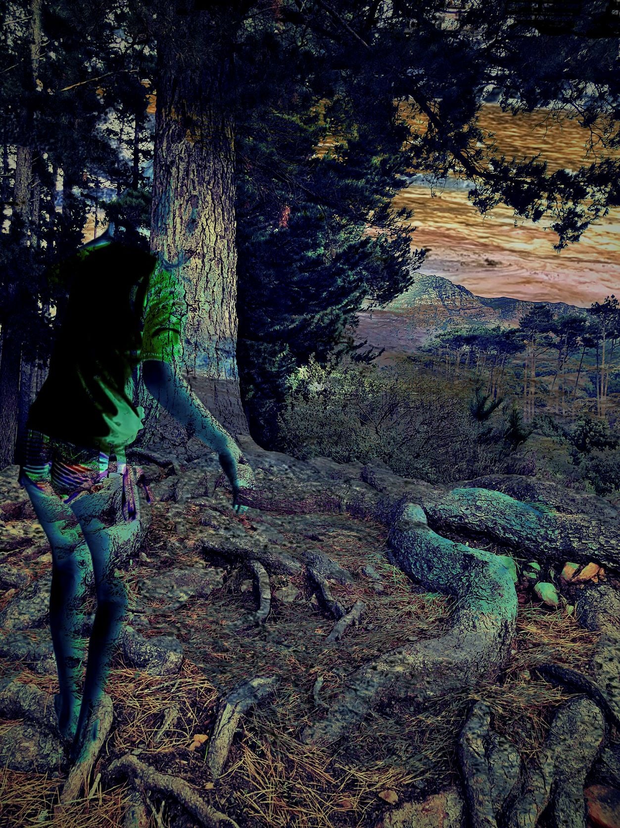 From the Forest by Deborah Lazarus - Limited Edition Print