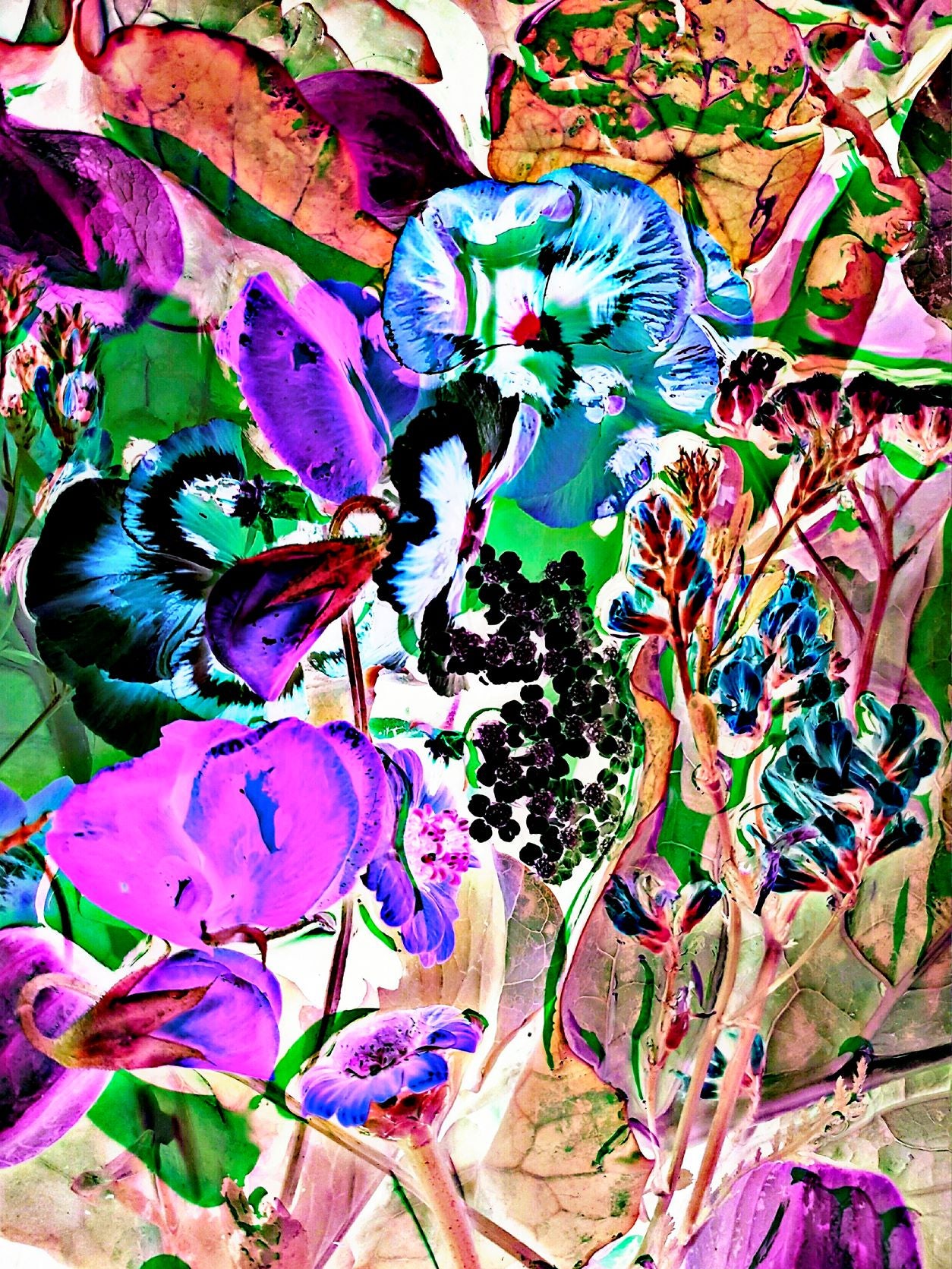 Hot Garden by Deborah Lazarus - Limited Edition Print