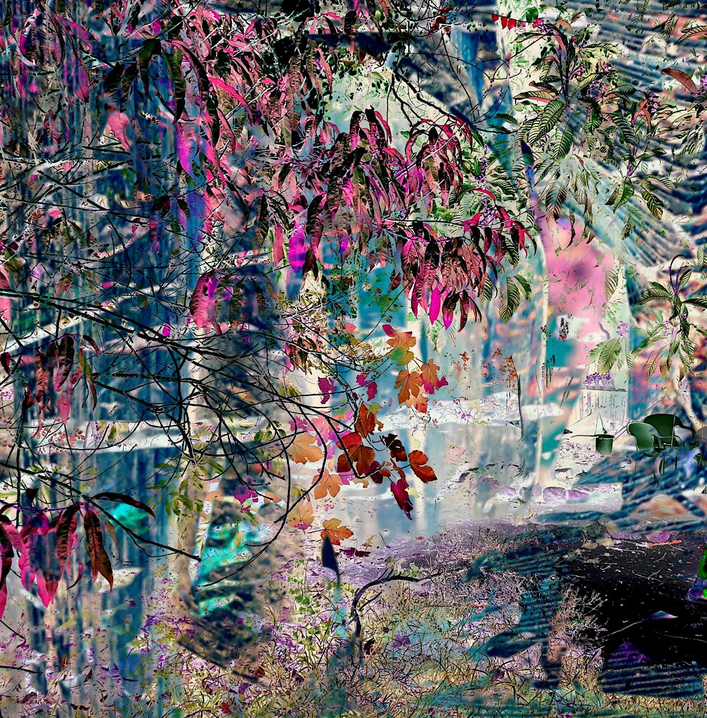 The Clearing by Deborah Lazarus - Limited Edition Print