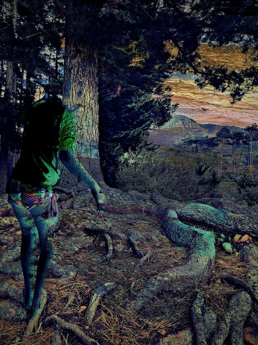 From the Forest by Deborah Lazarus - Limited Edition Print