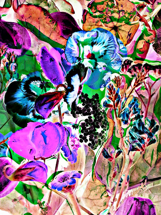 Hot Garden by Deborah Lazarus - Limited Edition Print